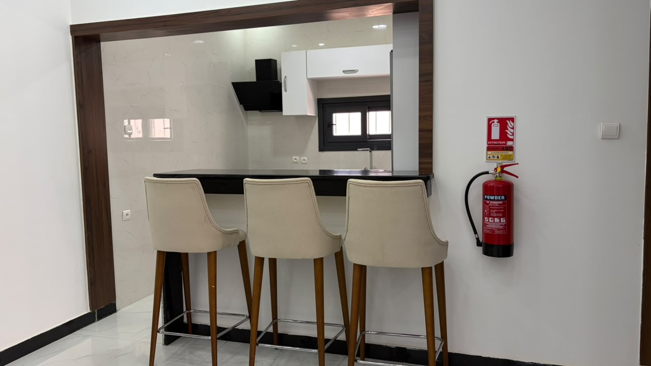 Grand appartement — cuisine